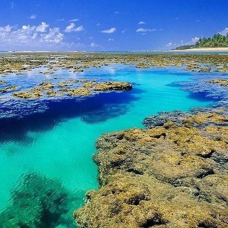 Suites Margueta Itacaré Dış mekan fotoğraf