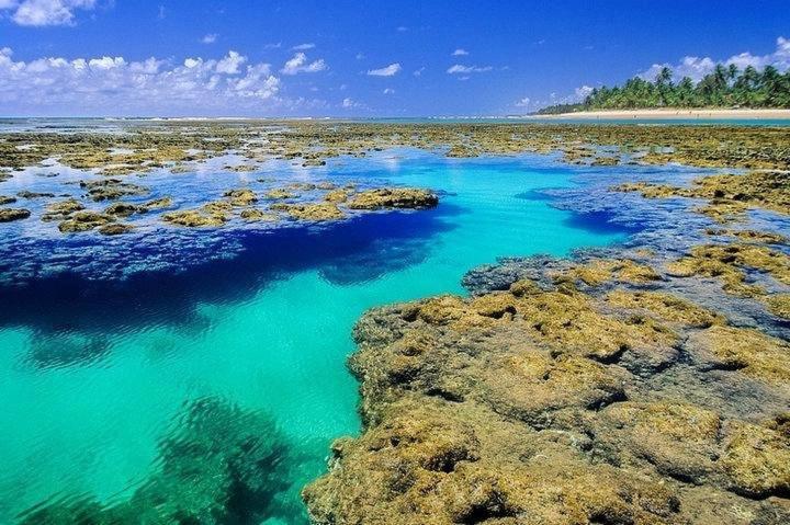 Suites Margueta Itacaré Dış mekan fotoğraf